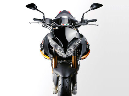 2009 Benelli TnT 899