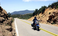 Photo of a 2008 Harley-Davidson FLHRC Road King Classic