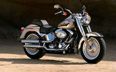 2007 Harley-Davidson FLSTF Fat Boy