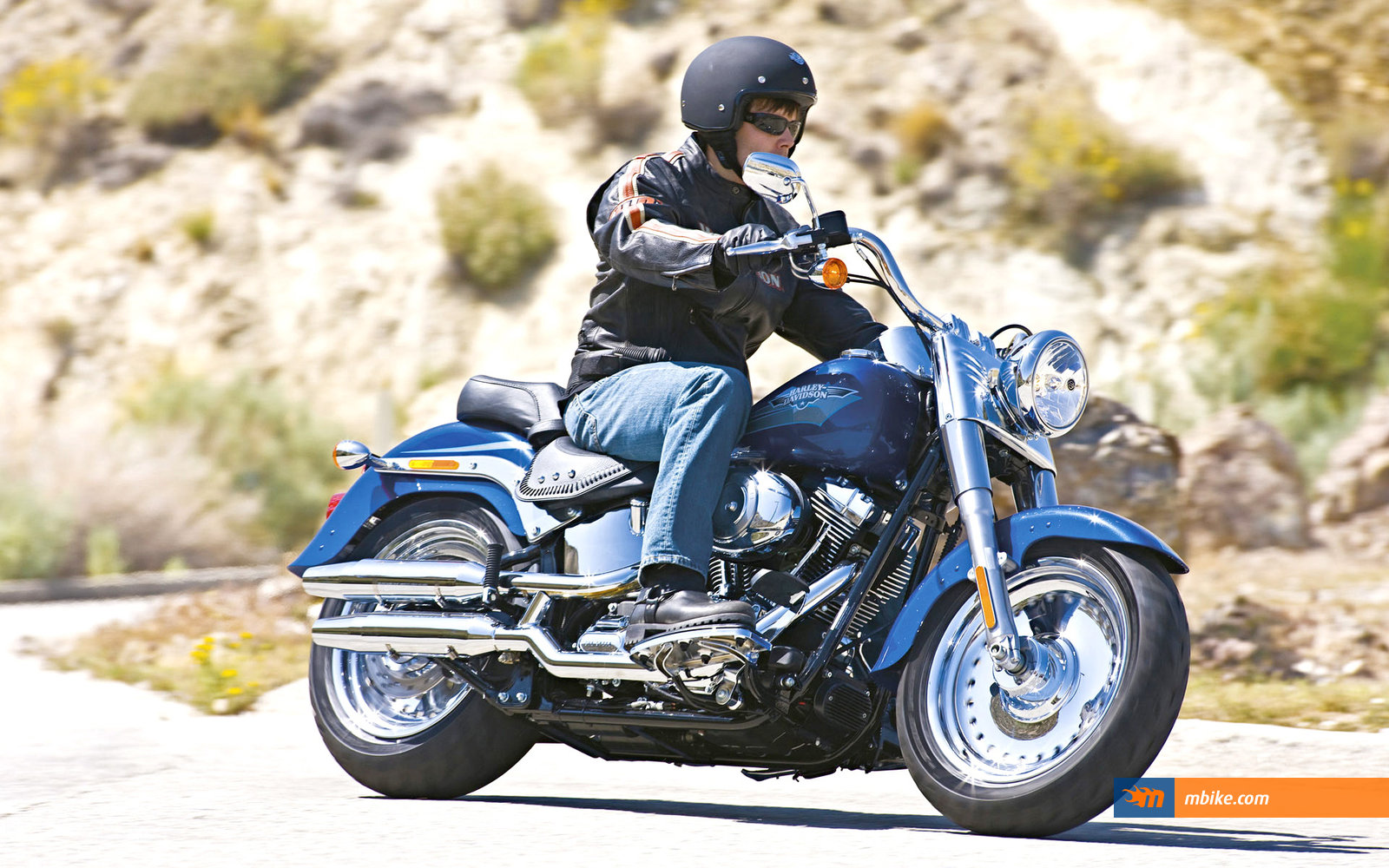 2009 Harley-Davidson FLSTF Fat Boy