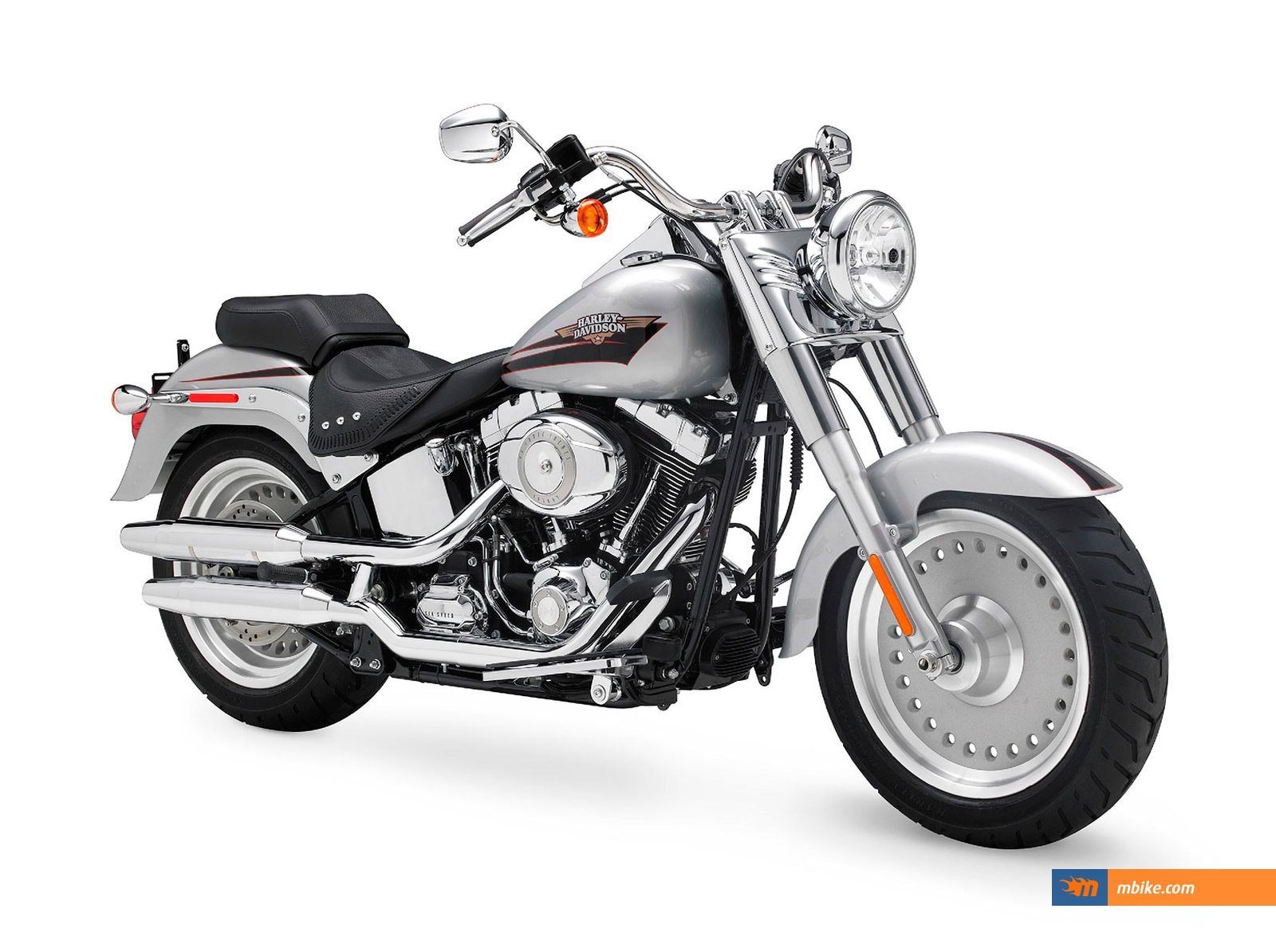 2010 Harley-Davidson FLSTF Fat Boy