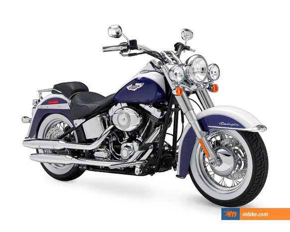 2010 Harley-Davidson FLSTN Softail Deluxe