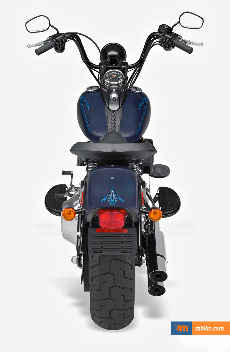 2009 Harley-Davidson FLSTSB Cross Bones