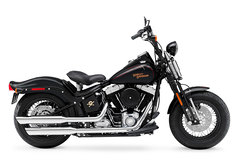 2009 Harley-Davidson FLSTSB Cross Bones