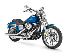 Photo of a 2005 Harley-Davidson FXDL Dyna Low Rider