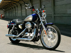 2002 Harley-Davidson XL1200C Sportster Custom