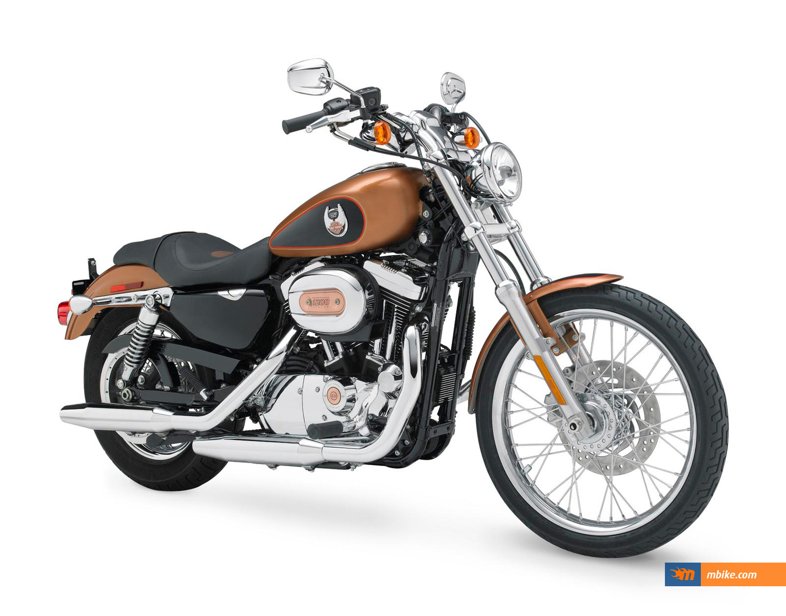 2004 Harley-Davidson XL1200C Sportster Custom