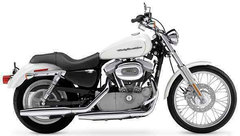 Photo of a 2004 Harley-Davidson XL883C Sportster Custom