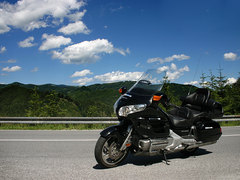 Photo of a 2008 Honda GL 1800 Gold Wing