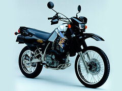 Photo of a 2004 Kawasaki KLR 650