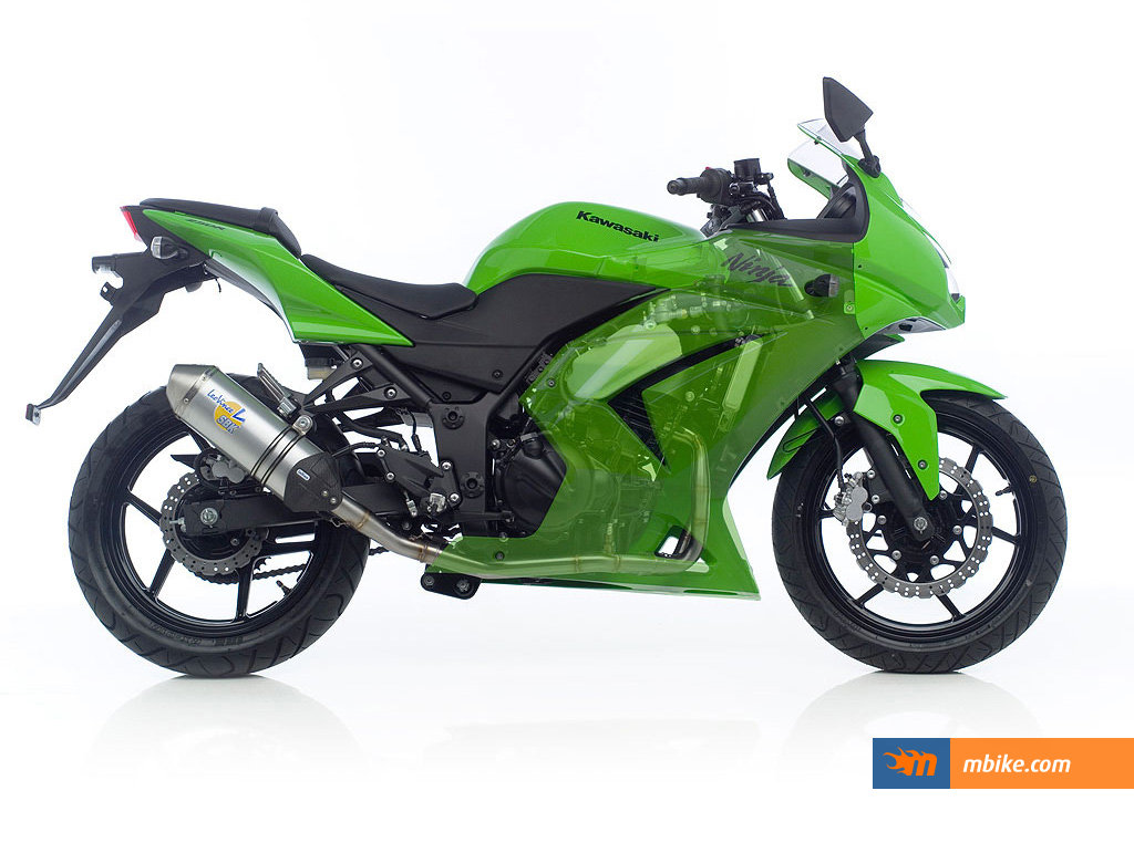 2009 Kawasaki Ninja 250 R