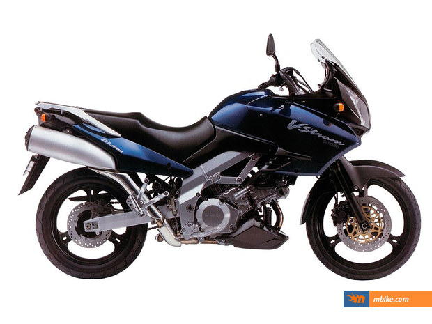 2002 Suzuki DL 1000 (V-Strom)
