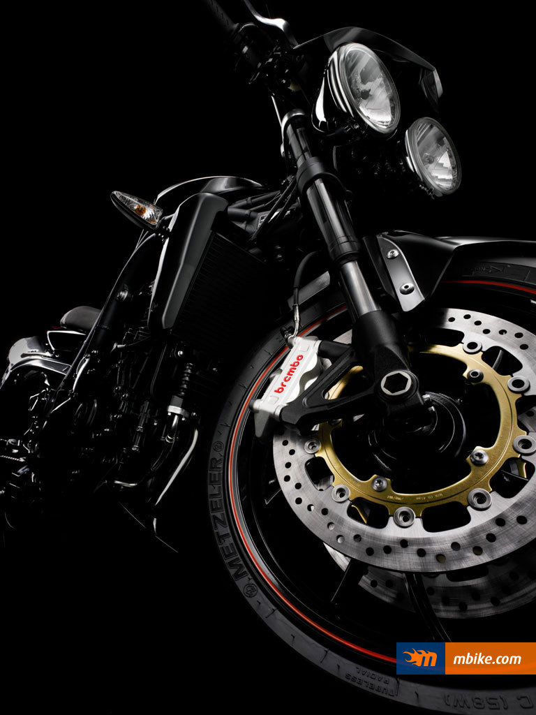 2010 Triumph Speed Triple Special Edition