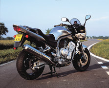 2002 Yamaha FZS 1000 (Fazer)