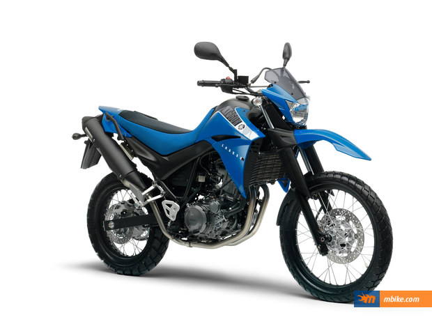 2010 Yamaha XT 660 R