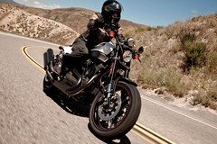 Photo of a 2011 Harley-Davidson XR1200X