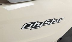 2011 Peugeot Citystar 125