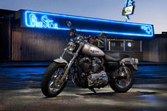 Photo of a 2012 Harley-Davidson XL1200C Sportster Custom