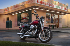 Photo of a 2012 Harley-Davidson XL883L SuperLow