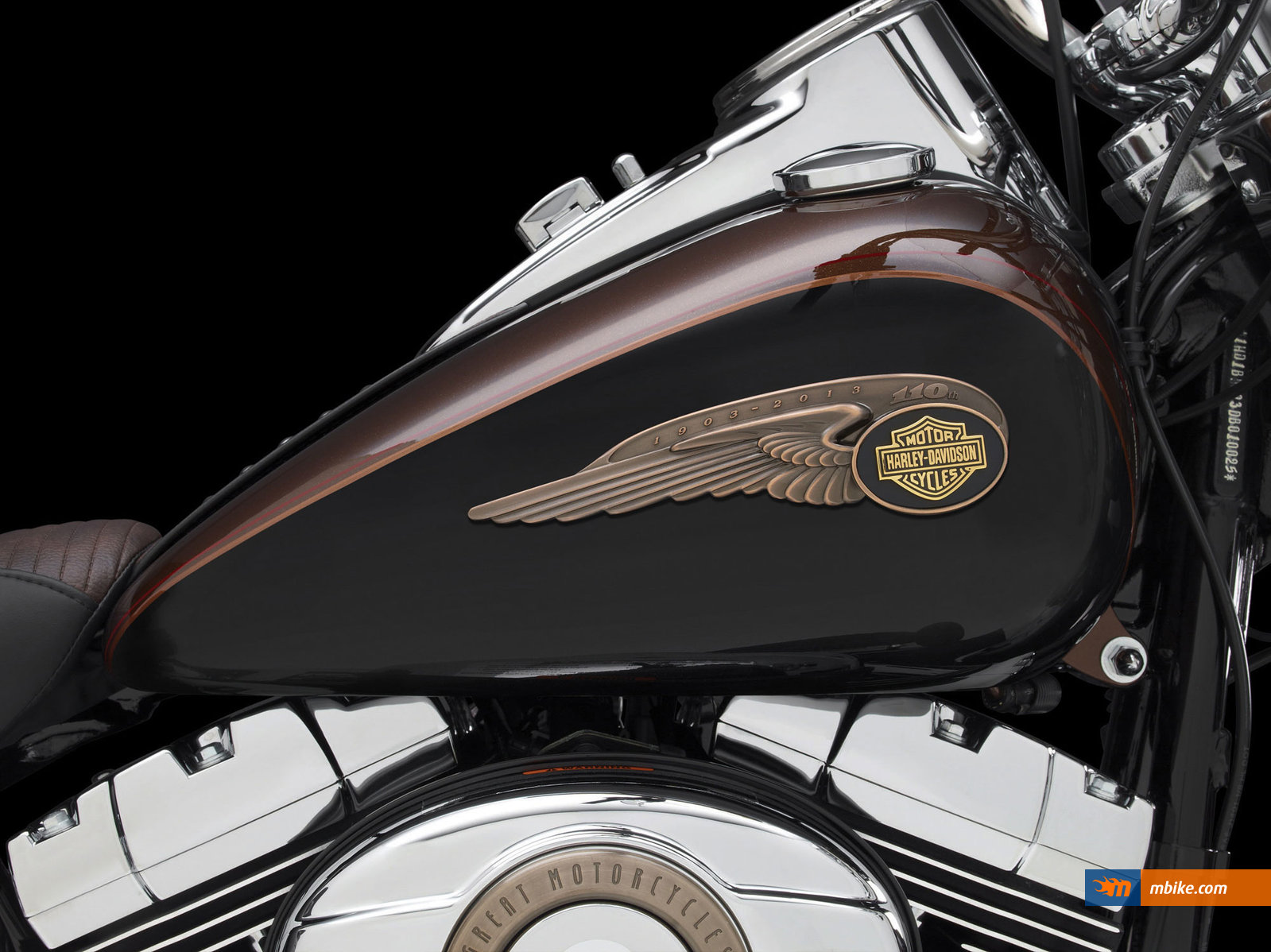 2013 Harley-Davidson FLSTC Heritage Softail Classic 110th Anniversary