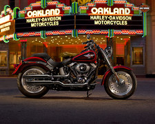 2013 Harley-Davidson FLSTF Fat Boy