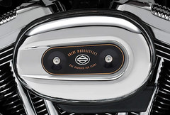 2013 Harley-Davidson XL1200 Custom 110th Anniversary