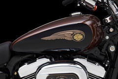 Photo of a 2013 Harley-Davidson XL1200 Custom 110th Anniversary