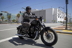 2013 Harley-Davidson XL883N Sportster Iron