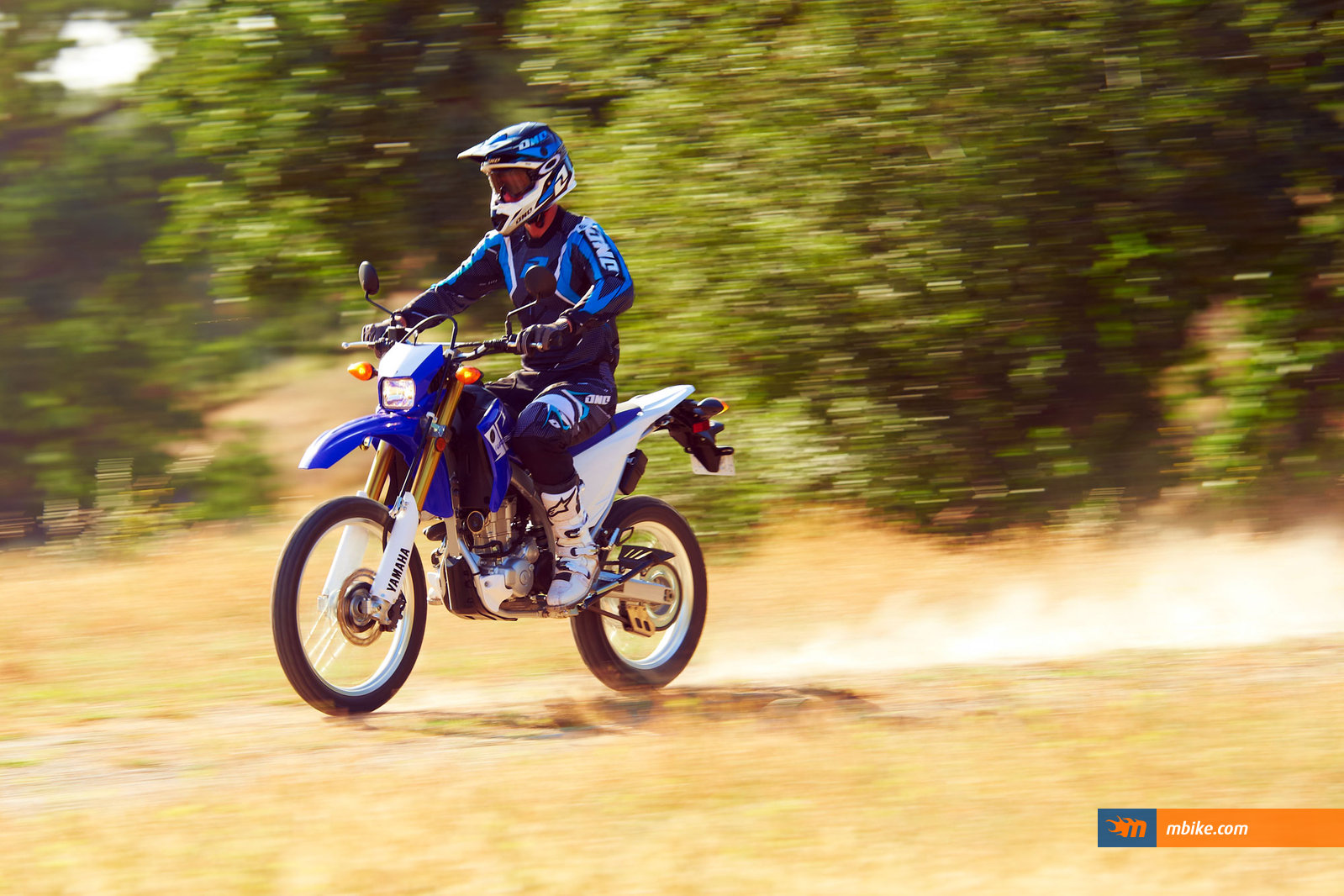 2013 Yamaha WR 250R